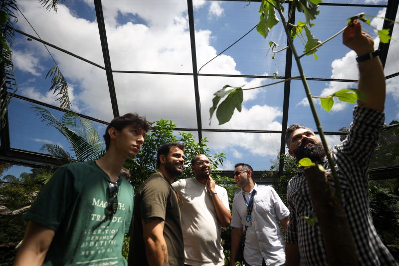  <div class='credito_fotos'>Foto: Pedro Guerreiro / Ag. Pará &nbsp;&nbsp;|&nbsp;&nbsp; <a href='/midias/2024/originais/18874_8f0165b2-76a8-9c27-9b73-9226f19ed26a.jpg' download><i class='fa-solid fa-download'></i> Download</a></div>