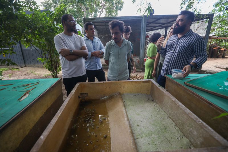  <div class='credito_fotos'>Foto: Pedro Guerreiro / Ag. Pará &nbsp;&nbsp;|&nbsp;&nbsp; <a href='/midias/2024/originais/18874_99ff6851-cc80-9b0d-b5a3-131280b6c281.jpg' download><i class='fa-solid fa-download'></i> Download</a></div>