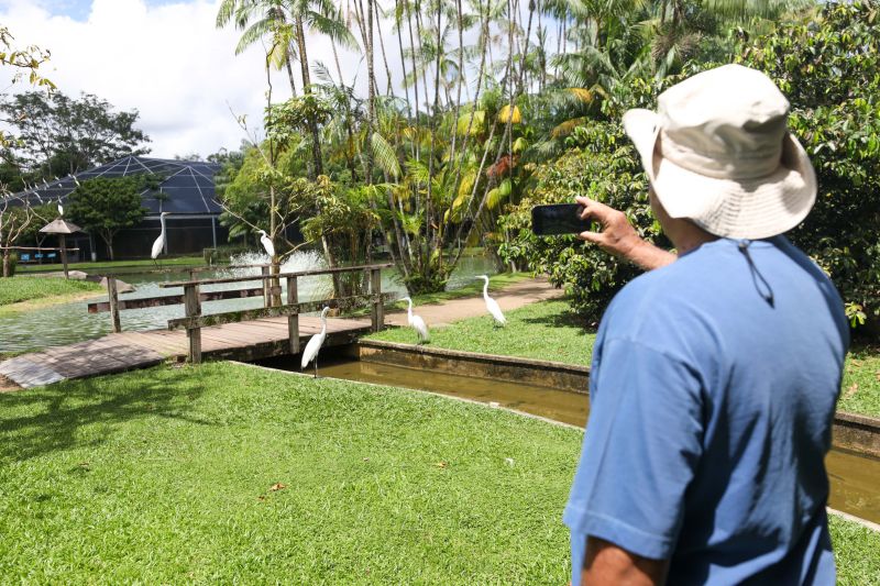  <div class='credito_fotos'>Foto: Pedro Guerreiro / Ag. Pará &nbsp;&nbsp;|&nbsp;&nbsp; <a href='/midias/2024/originais/18874_c5b5504f-e098-8dcc-133f-a3cccd61b26d.jpg' download><i class='fa-solid fa-download'></i> Download</a></div>