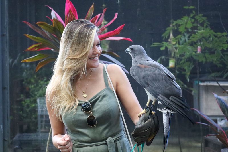  <div class='credito_fotos'>Foto: Pedro Guerreiro / Ag. Pará &nbsp;&nbsp;|&nbsp;&nbsp; <a href='/midias/2024/originais/18874_d516ab91-7760-1e7d-61e6-29ee197c28f9.jpg' download><i class='fa-solid fa-download'></i> Download</a></div>