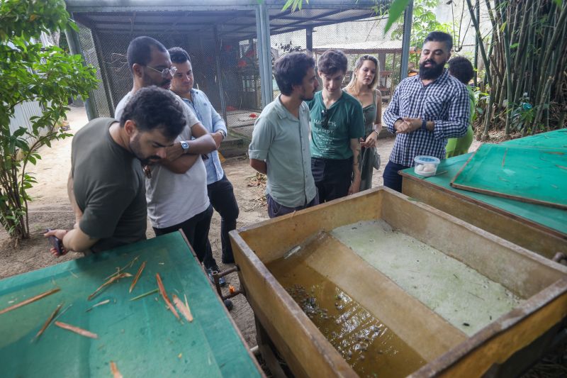  <div class='credito_fotos'>Foto: Pedro Guerreiro / Ag. Pará &nbsp;&nbsp;|&nbsp;&nbsp; <a href='/midias/2024/originais/18874_d7bef87c-3cda-0853-fc2b-6ffc87ee2b48.jpg' download><i class='fa-solid fa-download'></i> Download</a></div>