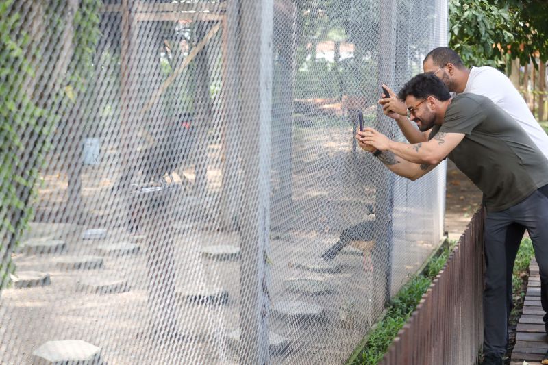  <div class='credito_fotos'>Foto: Pedro Guerreiro / Ag. Pará &nbsp;&nbsp;|&nbsp;&nbsp; <a href='/midias/2024/originais/18874_e755fc70-7c4b-4bfd-995d-664d788ed9d7.jpg' download><i class='fa-solid fa-download'></i> Download</a></div>