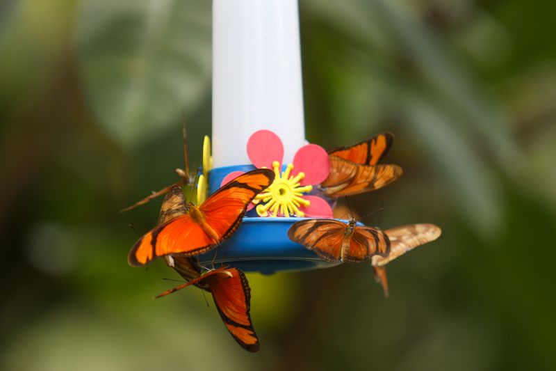  <div class='credito_fotos'>Foto: Pedro Guerreiro / Ag. Pará &nbsp;&nbsp;|&nbsp;&nbsp; <a href='/midias/2024/originais/18874_f6ac6ede-03e8-9341-1aa4-2605ec7ee832.jpg' download><i class='fa-solid fa-download'></i> Download</a></div>