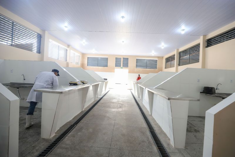  <div class='credito_fotos'>Foto: Bruno Cruz / Ag. Pará &nbsp;&nbsp;|&nbsp;&nbsp; <a href='/midias/2024/originais/18886_910c4a13-3ad7-44b0-f1e7-5d7d530f657c.jpg' download><i class='fa-solid fa-download'></i> Download</a></div>