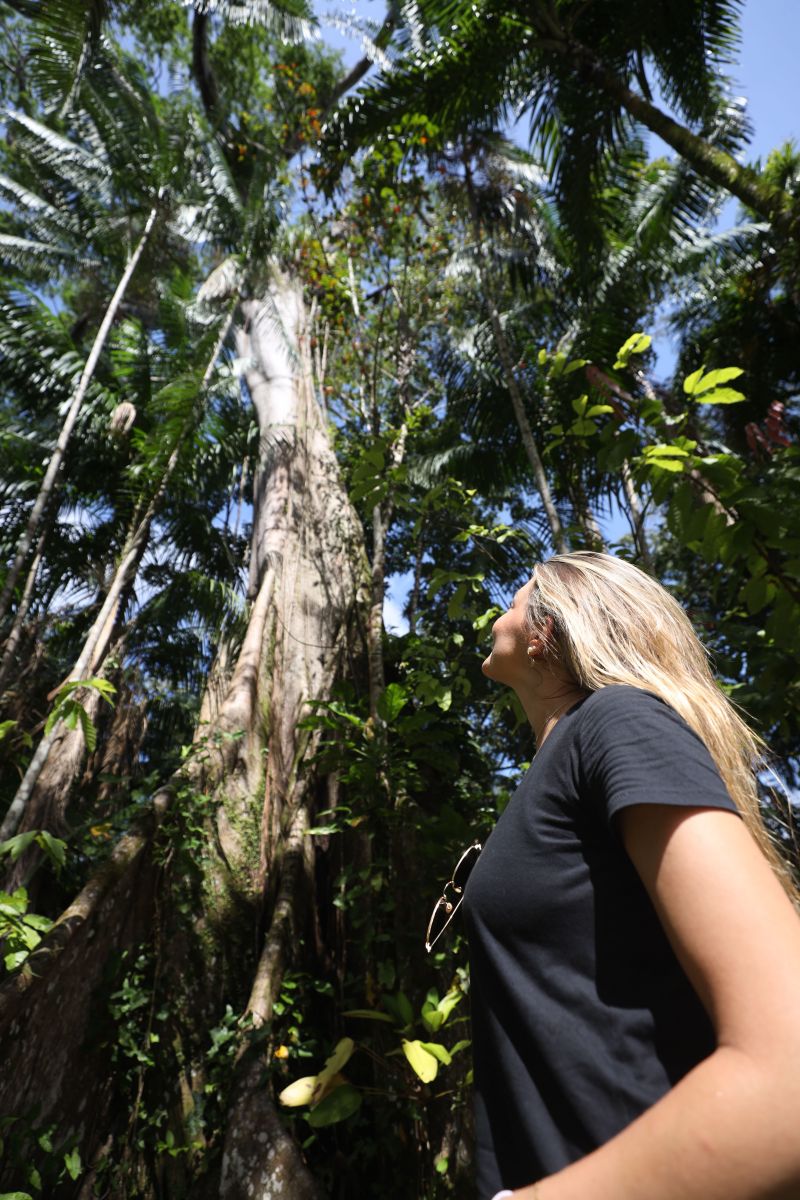  <div class='credito_fotos'>Foto: Pedro Guerreiro / Ag. Pará &nbsp;&nbsp;|&nbsp;&nbsp; <a href='/midias/2024/originais/18890_2bd093f1-5eda-984d-39ad-3695cc3456f9.jpg' download><i class='fa-solid fa-download'></i> Download</a></div>