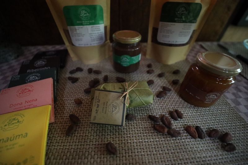  <div class='credito_fotos'>Foto: Pedro Guerreiro / Ag. Pará &nbsp;&nbsp;|&nbsp;&nbsp; <a href='/midias/2024/originais/18890_424bf0d3-db42-38e0-9c3e-d7429e38a244.jpg' download><i class='fa-solid fa-download'></i> Download</a></div>