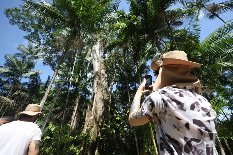  <div class='credito_fotos'>Foto: Pedro Guerreiro / Ag. Pará &nbsp;&nbsp;|&nbsp;&nbsp; <a href='/midias/2024/originais/18890_44d14b7a-071c-4113-e01b-62c0cdd11631.jpg' download><i class='fa-solid fa-download'></i> Download</a></div>