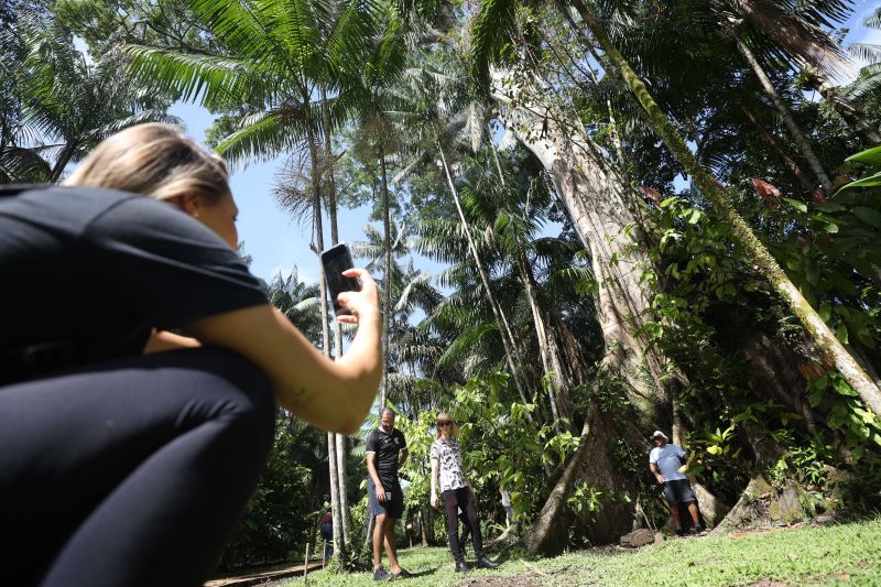  <div class='credito_fotos'>Foto: Pedro Guerreiro / Ag. Pará &nbsp;&nbsp;|&nbsp;&nbsp; <a href='/midias/2024/originais/18890_4542aa7d-ea92-4f26-b13c-f1835f50bf6b.jpg' download><i class='fa-solid fa-download'></i> Download</a></div>