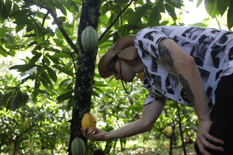  <div class='credito_fotos'>Foto: Pedro Guerreiro / Ag. Pará &nbsp;&nbsp;|&nbsp;&nbsp; <a href='/midias/2024/originais/18890_4c81453f-5bdc-2f6d-af9f-b4f23f93b06d.jpg' download><i class='fa-solid fa-download'></i> Download</a></div>