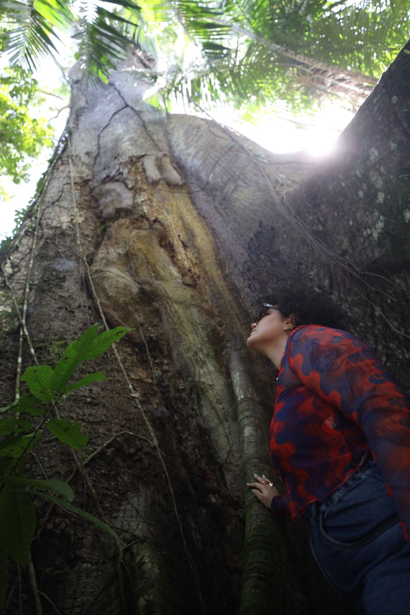  <div class='credito_fotos'>Foto: Pedro Guerreiro / Ag. Pará &nbsp;&nbsp;|&nbsp;&nbsp; <a href='/midias/2024/originais/18890_4de8d311-03f5-008d-13d3-34a810171bfe.jpg' download><i class='fa-solid fa-download'></i> Download</a></div>