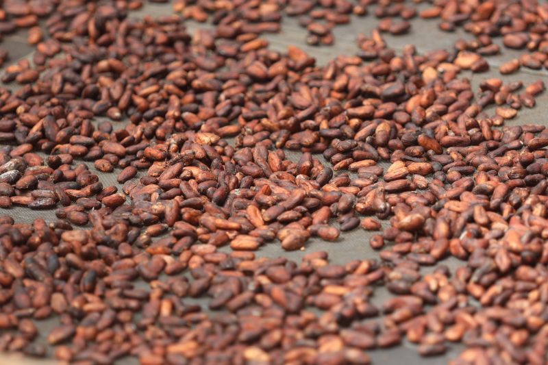  <div class='credito_fotos'>Foto: Pedro Guerreiro / Ag. Pará &nbsp;&nbsp;|&nbsp;&nbsp; <a href='/midias/2024/originais/18890_52a7bcec-6799-9dcc-bda0-5f4af7fd4702.jpg' download><i class='fa-solid fa-download'></i> Download</a></div>