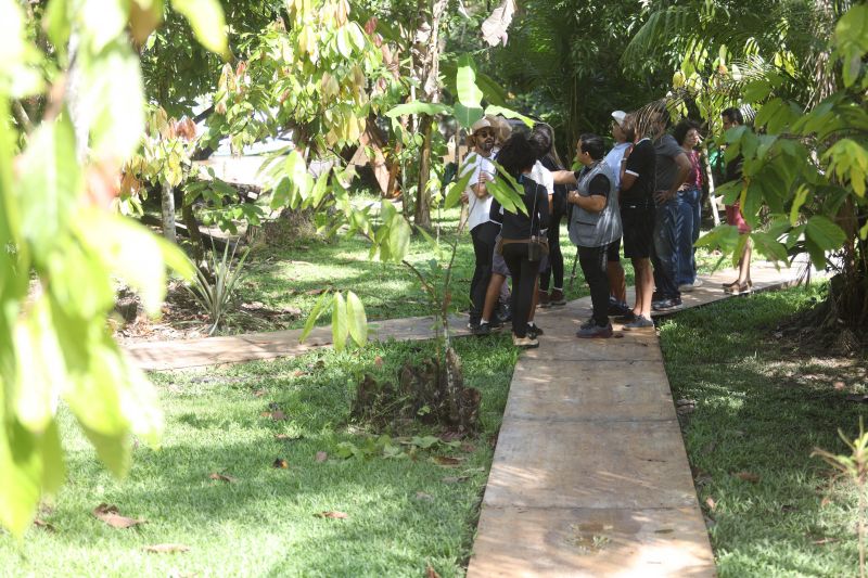  <div class='credito_fotos'>Foto: Pedro Guerreiro / Ag. Pará &nbsp;&nbsp;|&nbsp;&nbsp; <a href='/midias/2024/originais/18890_7794433d-d6b0-1604-9e4d-da1a55ce29cc.jpg' download><i class='fa-solid fa-download'></i> Download</a></div>