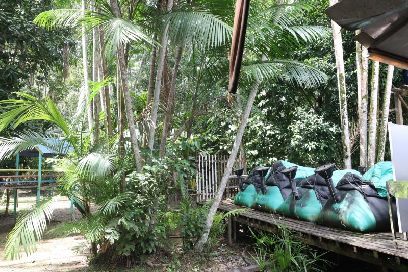  <div class='credito_fotos'>Foto: Pedro Guerreiro / Ag. Pará &nbsp;&nbsp;|&nbsp;&nbsp; <a href='/midias/2024/originais/18890_79af02ed-dc5e-dd0d-56fa-5c4c3b71adc9.jpg' download><i class='fa-solid fa-download'></i> Download</a></div>