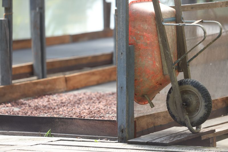  <div class='credito_fotos'>Foto: Pedro Guerreiro / Ag. Pará &nbsp;&nbsp;|&nbsp;&nbsp; <a href='/midias/2024/originais/18890_8a2911a9-8a0d-4d6b-0652-cd505302e72b.jpg' download><i class='fa-solid fa-download'></i> Download</a></div>