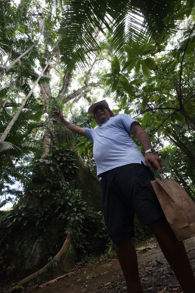  <div class='credito_fotos'>Foto: Pedro Guerreiro / Ag. Pará &nbsp;&nbsp;|&nbsp;&nbsp; <a href='/midias/2024/originais/18890_8dc19492-b369-e99d-f64b-e319d4de1765.jpg' download><i class='fa-solid fa-download'></i> Download</a></div>