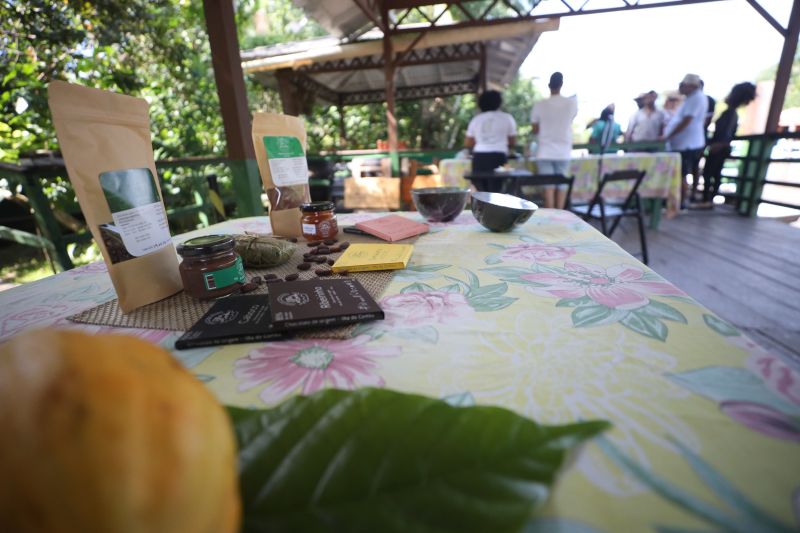  <div class='credito_fotos'>Foto: Pedro Guerreiro / Ag. Pará &nbsp;&nbsp;|&nbsp;&nbsp; <a href='/midias/2024/originais/18890_bfb40b52-ec74-2472-87a5-6398e4a9fb27.jpg' download><i class='fa-solid fa-download'></i> Download</a></div>