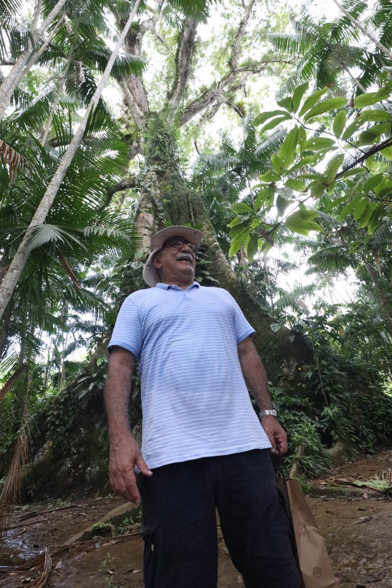  <div class='credito_fotos'>Foto: Pedro Guerreiro / Ag. Pará &nbsp;&nbsp;|&nbsp;&nbsp; <a href='/midias/2024/originais/18890_c1774a1e-6f2b-3b0f-4b2c-72029615f9ab.jpg' download><i class='fa-solid fa-download'></i> Download</a></div>