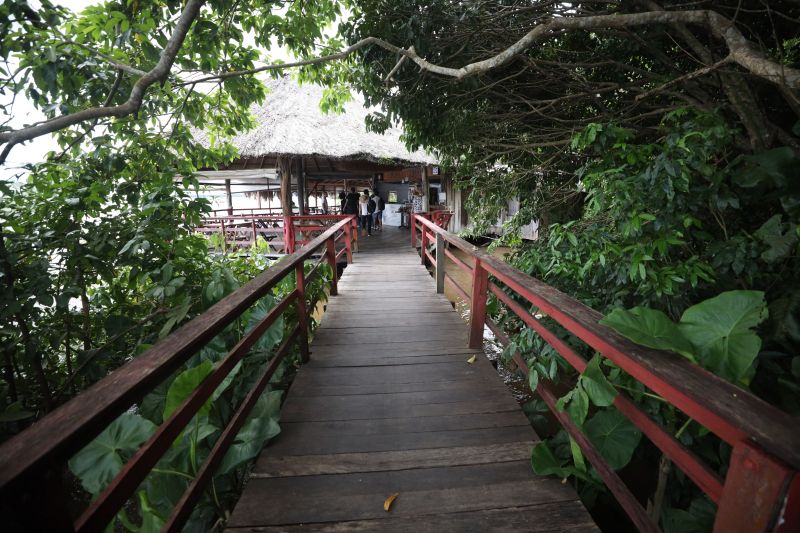  <div class='credito_fotos'>Foto: Pedro Guerreiro / Ag. Pará &nbsp;&nbsp;|&nbsp;&nbsp; <a href='/midias/2024/originais/18890_c29cd4bf-aff5-c018-9773-e2c6428123ce.jpg' download><i class='fa-solid fa-download'></i> Download</a></div>