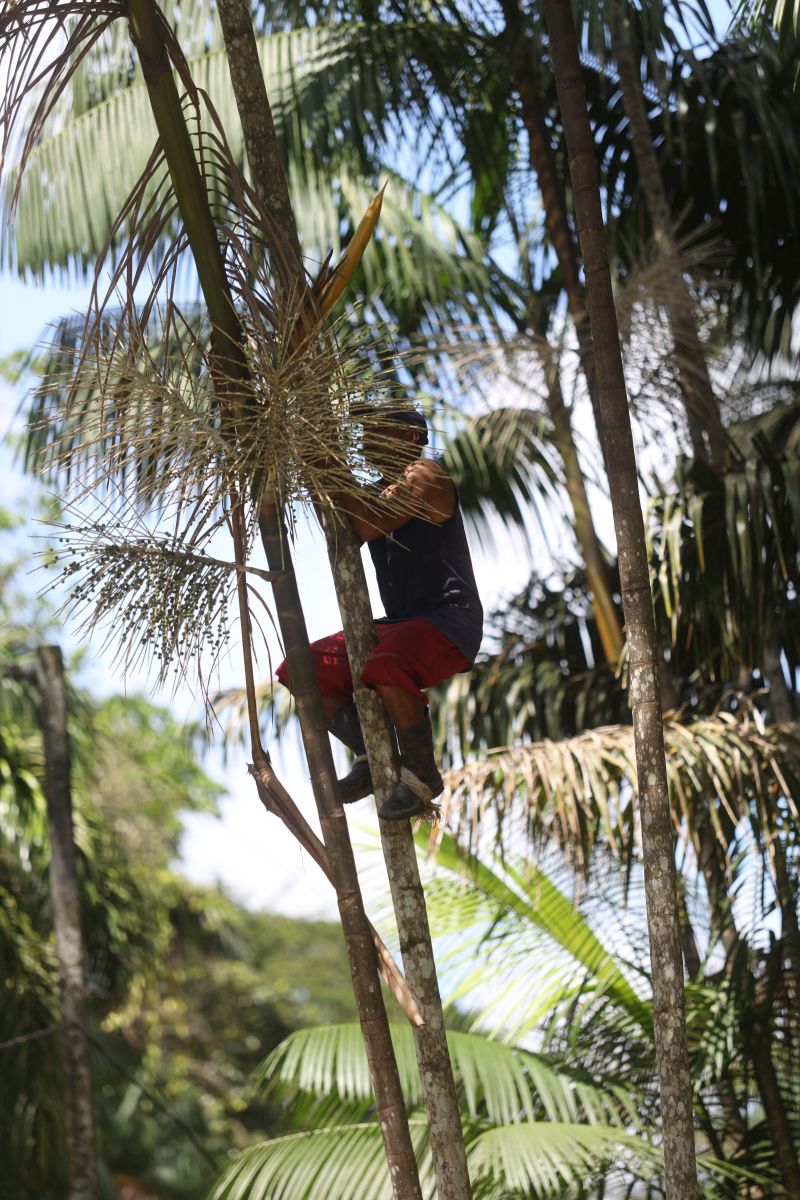  <div class='credito_fotos'>Foto: Pedro Guerreiro / Ag. Pará &nbsp;&nbsp;|&nbsp;&nbsp; <a href='/midias/2024/originais/18890_d57ff1d4-fcce-8d55-a1d4-0c5566f81636.jpg' download><i class='fa-solid fa-download'></i> Download</a></div>