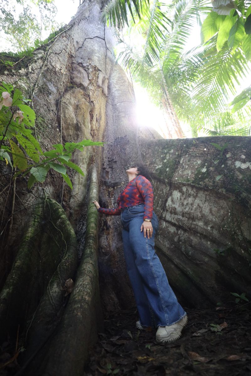  <div class='credito_fotos'>Foto: Pedro Guerreiro / Ag. Pará &nbsp;&nbsp;|&nbsp;&nbsp; <a href='/midias/2024/originais/18890_e74f8f85-36ac-94da-931e-f48b6972510d.jpg' download><i class='fa-solid fa-download'></i> Download</a></div>