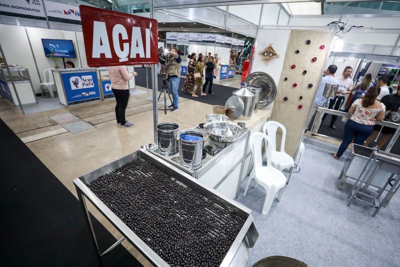  <div class='credito_fotos'>Foto: Rodrigo Pinheiro / Ag.Pará &nbsp;&nbsp;|&nbsp;&nbsp; <a href='/midias/2024/originais/18931_44d4f0c8-108c-065b-dcd2-9a0d8f5b4e5a.jpg' download><i class='fa-solid fa-download'></i> Download</a></div>