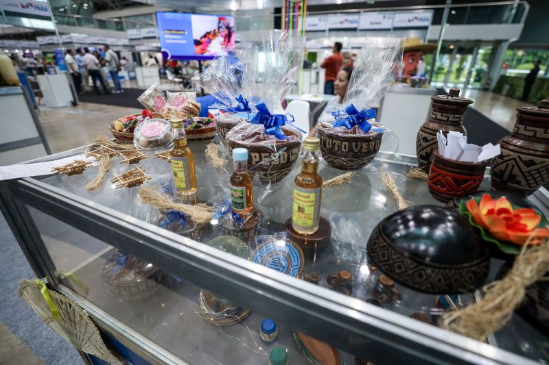  <div class='credito_fotos'>Foto: Rodrigo Pinheiro / Ag.Pará &nbsp;&nbsp;|&nbsp;&nbsp; <a href='/midias/2024/originais/18931_6e523cac-cad0-c071-aab0-2402b1c5b346.jpg' download><i class='fa-solid fa-download'></i> Download</a></div>