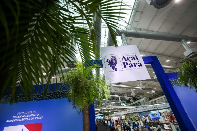  <div class='credito_fotos'>Foto: Rodrigo Pinheiro / Ag.Pará &nbsp;&nbsp;|&nbsp;&nbsp; <a href='/midias/2024/originais/18931_8b24cf0c-91d9-9790-d8b0-5dc19adacf42.jpg' download><i class='fa-solid fa-download'></i> Download</a></div>