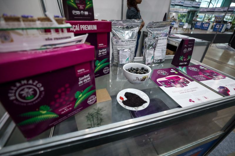  <div class='credito_fotos'>Foto: Rodrigo Pinheiro / Ag.Pará &nbsp;&nbsp;|&nbsp;&nbsp; <a href='/midias/2024/originais/18931_d1bd96d1-ff29-f8d5-3c37-4e938da3e078.jpg' download><i class='fa-solid fa-download'></i> Download</a></div>