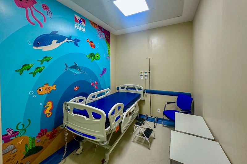  <div class='credito_fotos'>Foto: Wellyngton Coelho / Ag.Pará &nbsp;&nbsp;|&nbsp;&nbsp; <a href='/midias/2024/originais/18946_f86c6592-5f3b-0ba9-1f10-cd7fd3087b95.jpg' download><i class='fa-solid fa-download'></i> Download</a></div>