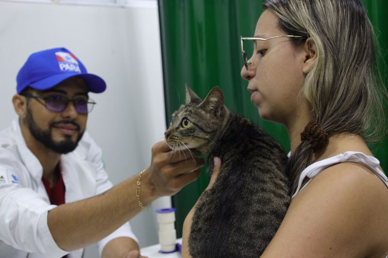  <div class='credito_fotos'>Foto: Pedro Guerreiro / Ag. Pará &nbsp;&nbsp;|&nbsp;&nbsp; <a href='/midias/2024/originais/19951_577aa197-ab2a-c941-331d-94473b893441.jpg' download><i class='fa-solid fa-download'></i> Download</a></div>