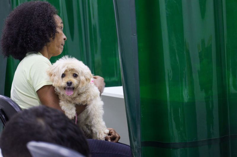  <div class='credito_fotos'>Foto: Pedro Guerreiro / Ag. Pará &nbsp;&nbsp;|&nbsp;&nbsp; <a href='/midias/2024/originais/19951_770eabc4-a253-a781-5e8e-abb4b2d5ed68.jpg' download><i class='fa-solid fa-download'></i> Download</a></div>