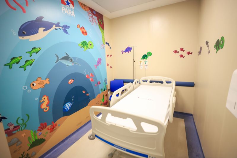  <div class='credito_fotos'>Foto: Bruno Cruz / Ag. Pará &nbsp;&nbsp;|&nbsp;&nbsp; <a href='/midias/2024/originais/19964_7418b2fb-e3fb-bbb0-b60c-ddfc15e0fe83.jpg' download><i class='fa-solid fa-download'></i> Download</a></div>