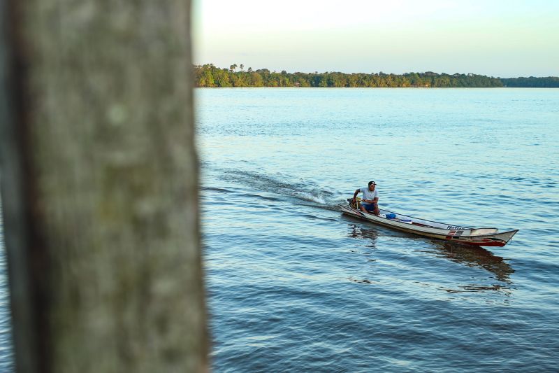  <div class='credito_fotos'>Foto: Marcelo Lelis / Ag. Pará &nbsp;&nbsp;|&nbsp;&nbsp; <a href='/midias/2024/originais/19968_d8713faa-8961-7dc4-a3eb-eccb86974f3b.jpg' download><i class='fa-solid fa-download'></i> Download</a></div>