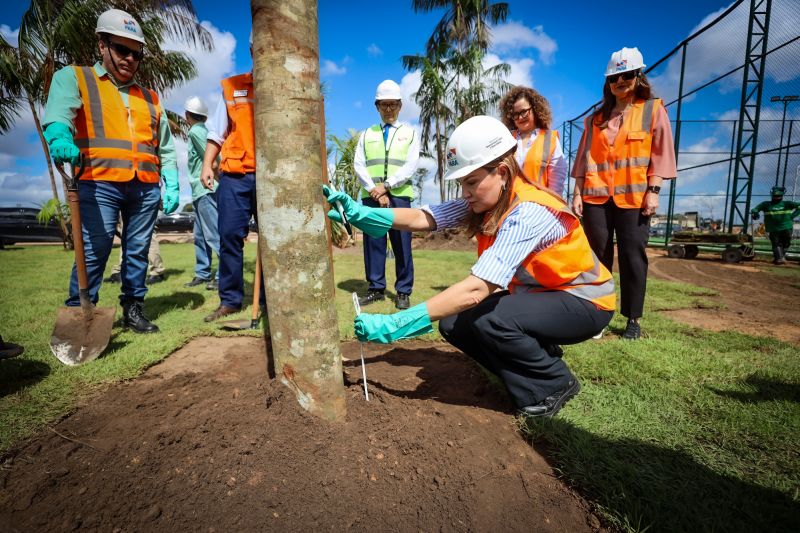  <div class='credito_fotos'>Foto: Bruno Cecim / Ag.Pará &nbsp;&nbsp;|&nbsp;&nbsp; <a href='/midias/2024/originais/19978_0756f470-ba80-755b-edd6-d8c78acc370b.jpg' download><i class='fa-solid fa-download'></i> Download</a></div>