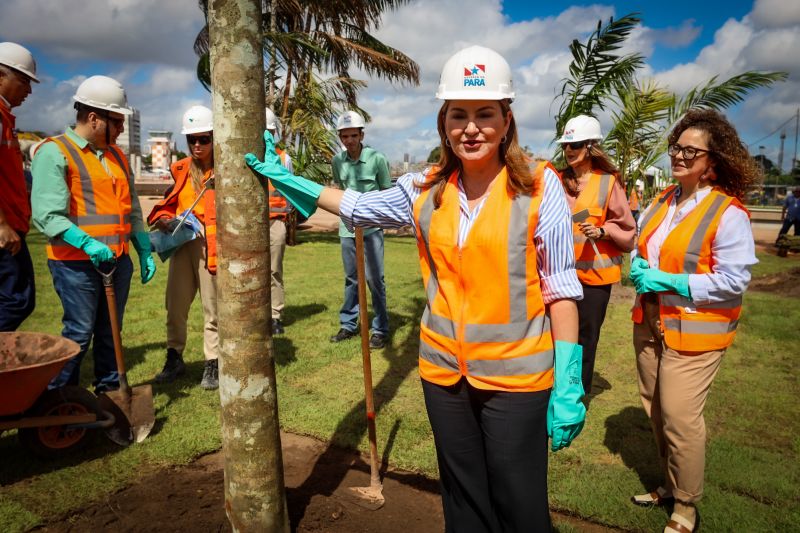  <div class='credito_fotos'>Foto: Bruno Cecim / Ag.Pará &nbsp;&nbsp;|&nbsp;&nbsp; <a href='/midias/2024/originais/19978_0e5d164d-b296-c9e0-033d-a60223b557b3.jpg' download><i class='fa-solid fa-download'></i> Download</a></div>