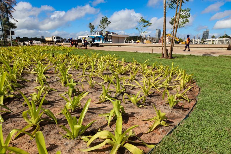 <div class='credito_fotos'>Foto: Bruno Cecim / Ag.Pará &nbsp;&nbsp;|&nbsp;&nbsp; <a href='/midias/2024/originais/19978_179ea9b4-ff06-4ce1-3a18-30967096ef31.jpg' download><i class='fa-solid fa-download'></i> Download</a></div>