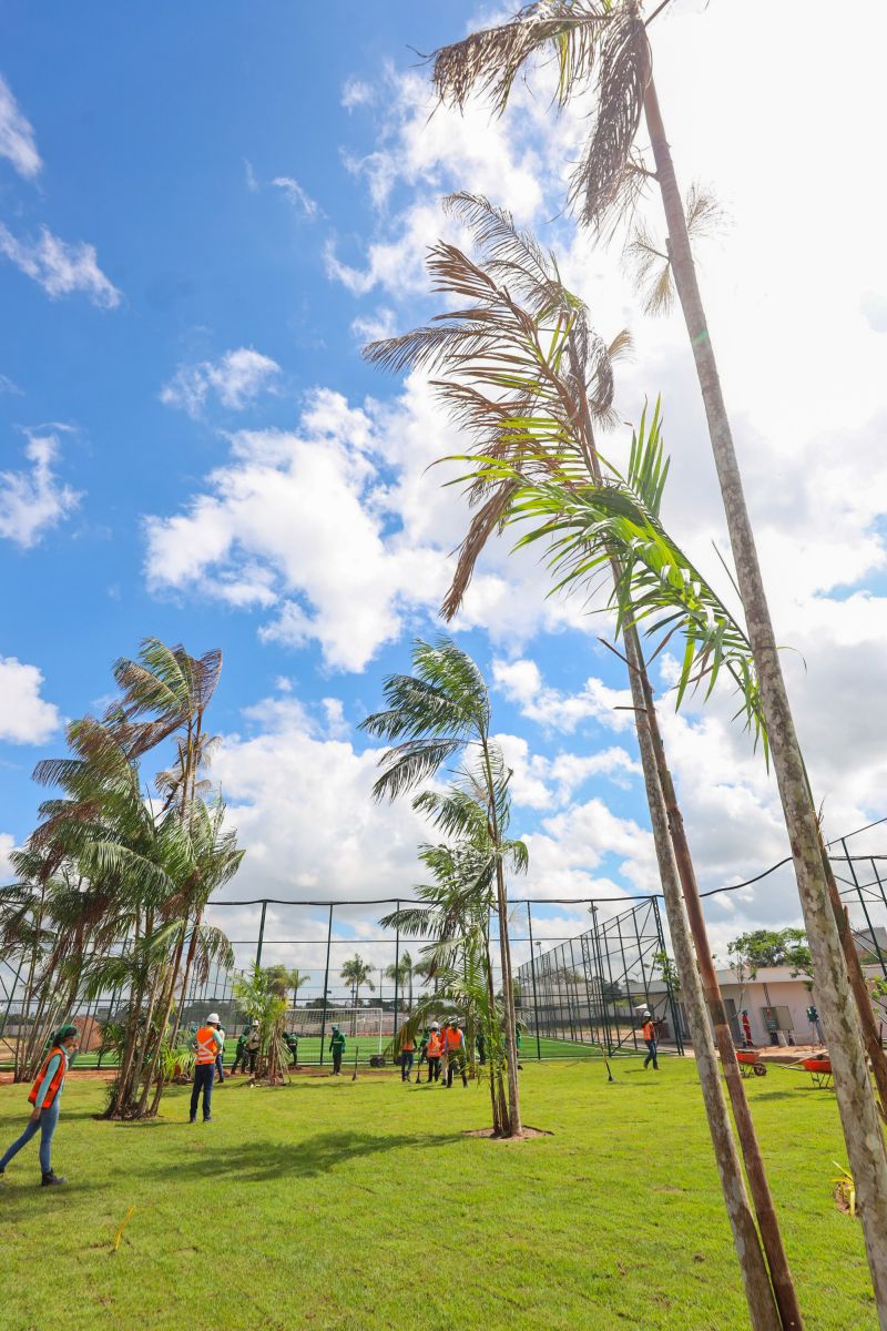  <div class='credito_fotos'>Foto: Bruno Cecim / Ag.Pará &nbsp;&nbsp;|&nbsp;&nbsp; <a href='/midias/2024/originais/19978_394d93bb-5e84-da3e-484d-98909ee73e0c.jpg' download><i class='fa-solid fa-download'></i> Download</a></div>