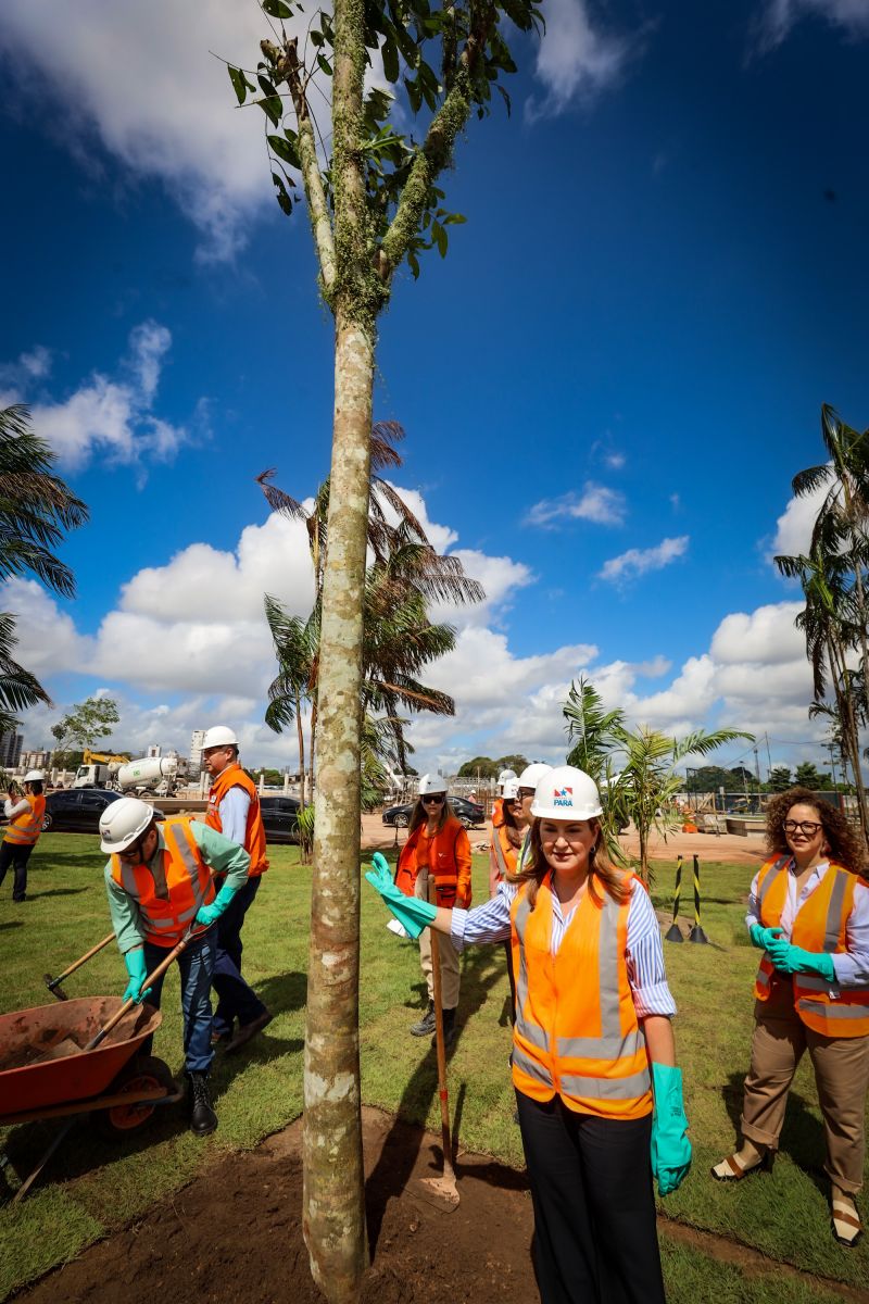  <div class='credito_fotos'>Foto: Bruno Cecim / Ag.Pará &nbsp;&nbsp;|&nbsp;&nbsp; <a href='/midias/2024/originais/19978_4b9617b0-e347-b637-9582-7cc1035e5228.jpg' download><i class='fa-solid fa-download'></i> Download</a></div>