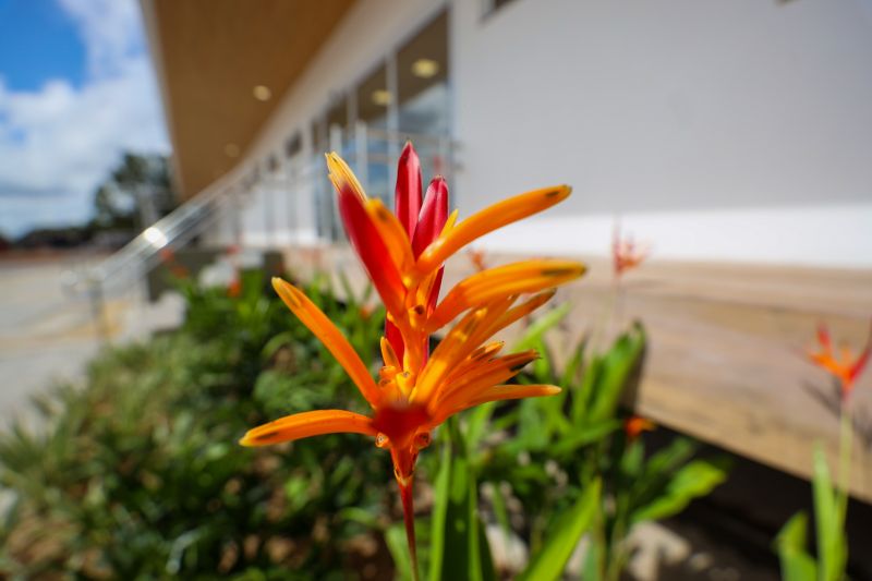  <div class='credito_fotos'>Foto: Bruno Cecim / Ag.Pará &nbsp;&nbsp;|&nbsp;&nbsp; <a href='/midias/2024/originais/19978_7e29d87f-ac75-15ce-8089-885d058fe608.jpg' download><i class='fa-solid fa-download'></i> Download</a></div>