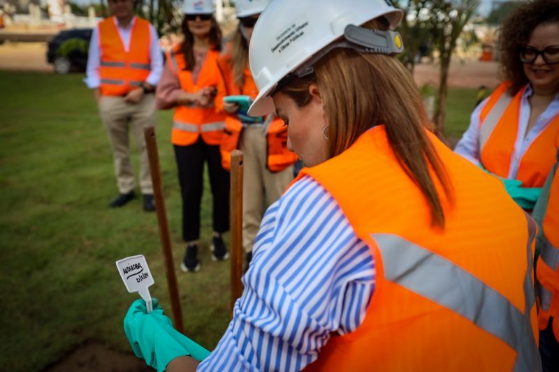  <div class='credito_fotos'>Foto: Bruno Cecim / Ag.Pará &nbsp;&nbsp;|&nbsp;&nbsp; <a href='/midias/2024/originais/19978_7e591dc4-0cdd-4be6-e365-c51a0a87a9e9.jpg' download><i class='fa-solid fa-download'></i> Download</a></div>