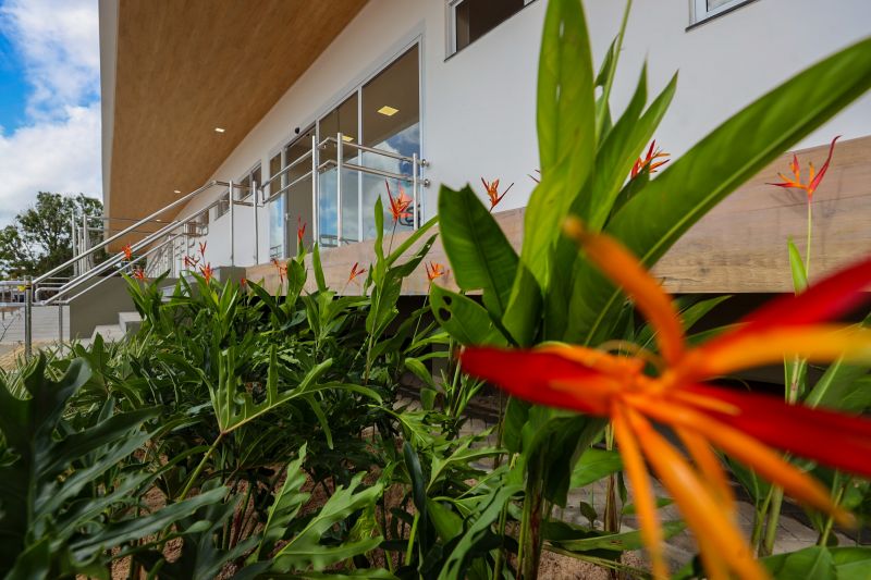  <div class='credito_fotos'>Foto: Bruno Cecim / Ag.Pará &nbsp;&nbsp;|&nbsp;&nbsp; <a href='/midias/2024/originais/19978_7e93d335-a898-9c0e-1f52-00317401b05c.jpg' download><i class='fa-solid fa-download'></i> Download</a></div>