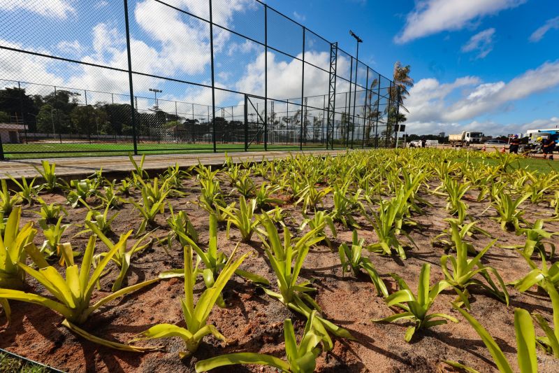  <div class='credito_fotos'>Foto: Bruno Cecim / Ag.Pará &nbsp;&nbsp;|&nbsp;&nbsp; <a href='/midias/2024/originais/19978_96df0950-a621-503d-d10d-a0cf8e7bf104.jpg' download><i class='fa-solid fa-download'></i> Download</a></div>