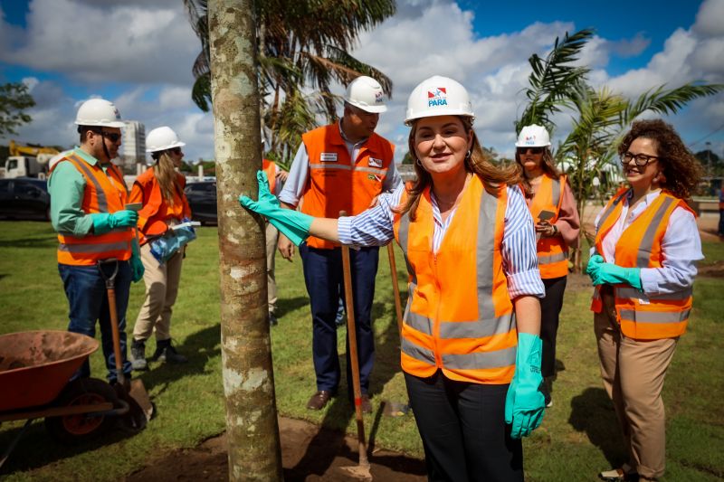  <div class='credito_fotos'>Foto: Bruno Cecim / Ag.Pará &nbsp;&nbsp;|&nbsp;&nbsp; <a href='/midias/2024/originais/19978_9d36e467-c10c-9305-3468-e12c3b572f1f.jpg' download><i class='fa-solid fa-download'></i> Download</a></div>