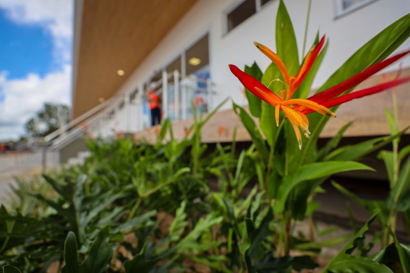  <div class='credito_fotos'>Foto: Bruno Cecim / Ag.Pará &nbsp;&nbsp;|&nbsp;&nbsp; <a href='/midias/2024/originais/19978_d5dac8d9-0011-74ab-2935-3af37ac3657b.jpg' download><i class='fa-solid fa-download'></i> Download</a></div>