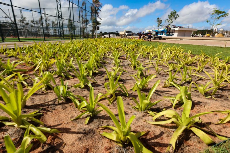  <div class='credito_fotos'>Foto: Bruno Cecim / Ag.Pará &nbsp;&nbsp;|&nbsp;&nbsp; <a href='/midias/2024/originais/19978_dc726822-8adf-aa98-f32f-ca70a1ff81d8.jpg' download><i class='fa-solid fa-download'></i> Download</a></div>