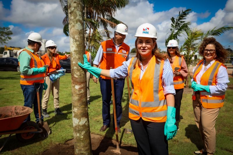  <div class='credito_fotos'>Foto: Bruno Cecim / Ag.Pará &nbsp;&nbsp;|&nbsp;&nbsp; <a href='/midias/2024/originais/19978_f988387f-988a-b424-f1bb-33696e03b445.jpg' download><i class='fa-solid fa-download'></i> Download</a></div>