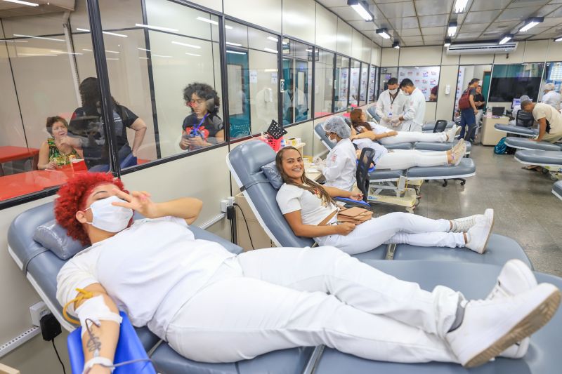  <div class='credito_fotos'>Foto: Bruno Cruz / Ag. Pará &nbsp;&nbsp;|&nbsp;&nbsp; <a href='/midias/2024/originais/19985_0f390e51-1a4d-734e-ee74-8568996b6365.jpg' download><i class='fa-solid fa-download'></i> Download</a></div>