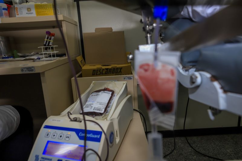  <div class='credito_fotos'>Foto: Bruno Cruz / Ag. Pará &nbsp;&nbsp;|&nbsp;&nbsp; <a href='/midias/2024/originais/19985_acb87ea4-be8d-c138-4234-1261137c0e6a.jpg' download><i class='fa-solid fa-download'></i> Download</a></div>