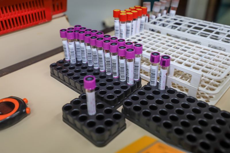  <div class='credito_fotos'>Foto: Bruno Cruz / Ag. Pará &nbsp;&nbsp;|&nbsp;&nbsp; <a href='/midias/2024/originais/19985_f49abbf6-d9e9-1d43-52d0-121b236dc3e6.jpg' download><i class='fa-solid fa-download'></i> Download</a></div>