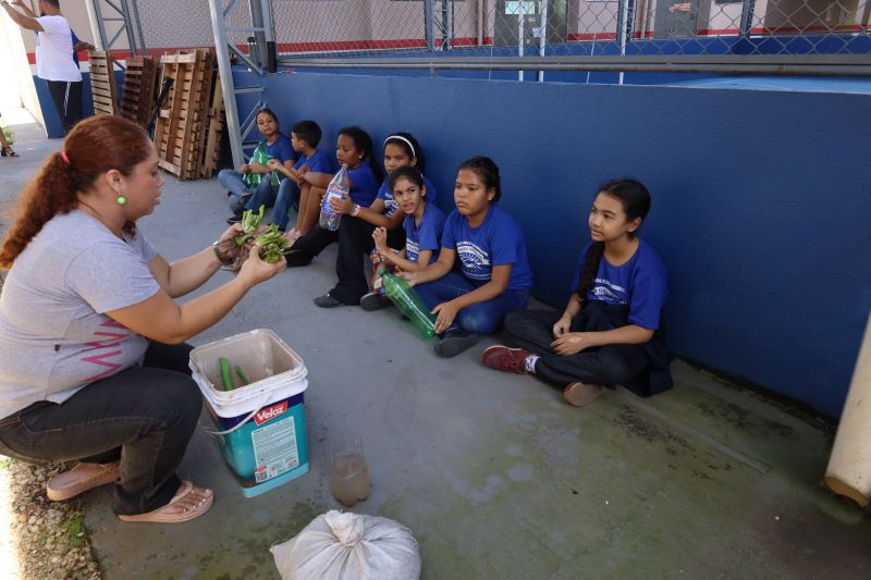  <div class='credito_fotos'>Foto: Alex Ribeiro / Ag. Pará &nbsp;&nbsp;|&nbsp;&nbsp; <a href='/midias/2024/originais/20000_60677875-6449-3092-503b-c9153988e8f6.jpg' download><i class='fa-solid fa-download'></i> Download</a></div>